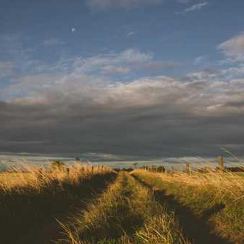 山水即兴专辑封面