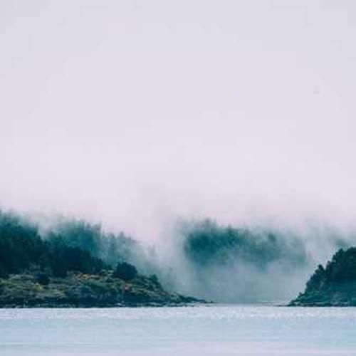 失去的声音专辑封面